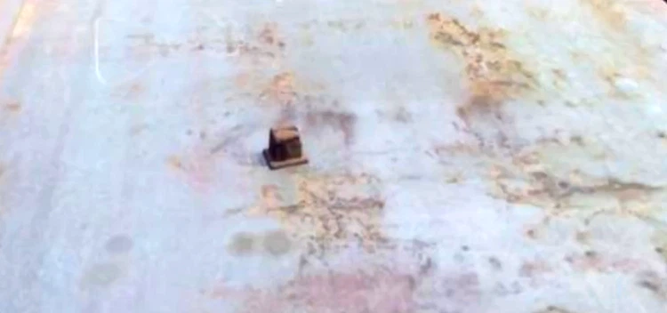 08100027982954 08100027982954